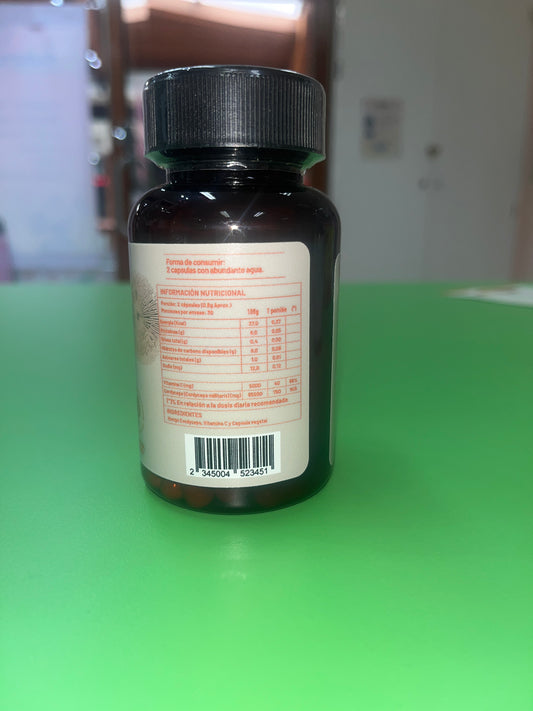 CORDYCEPS X 60 CÁPSULAS VEGETALES KARUN LIFE