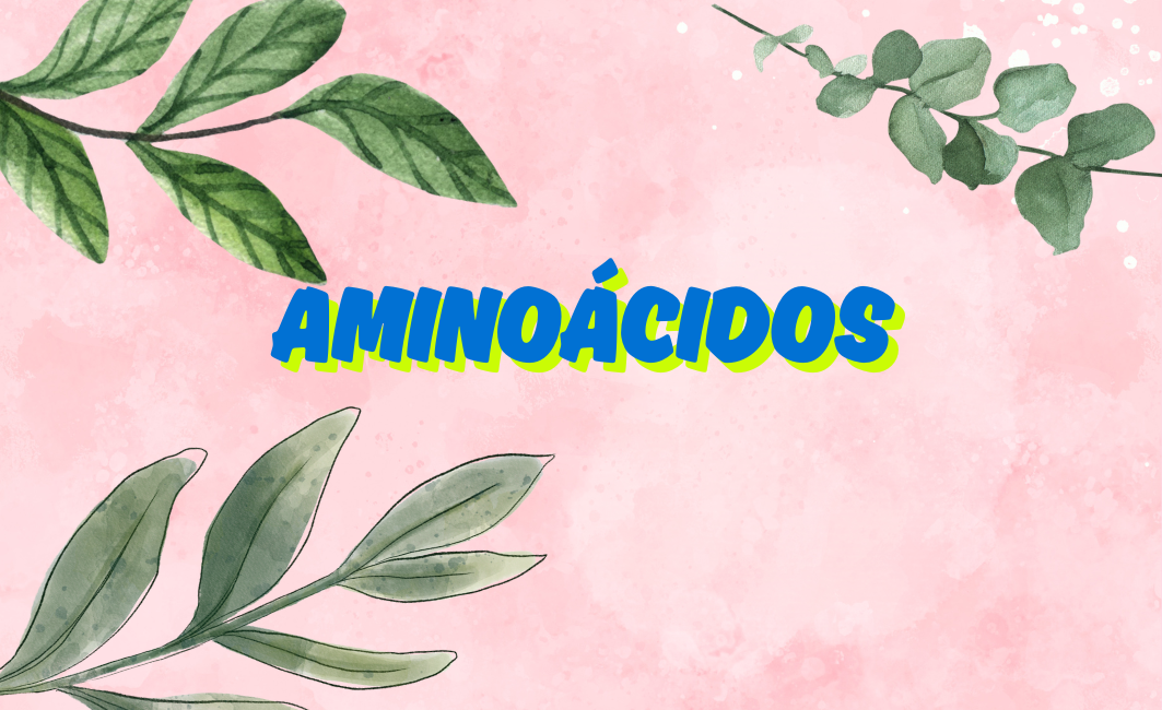 AMINOÁCIDOS