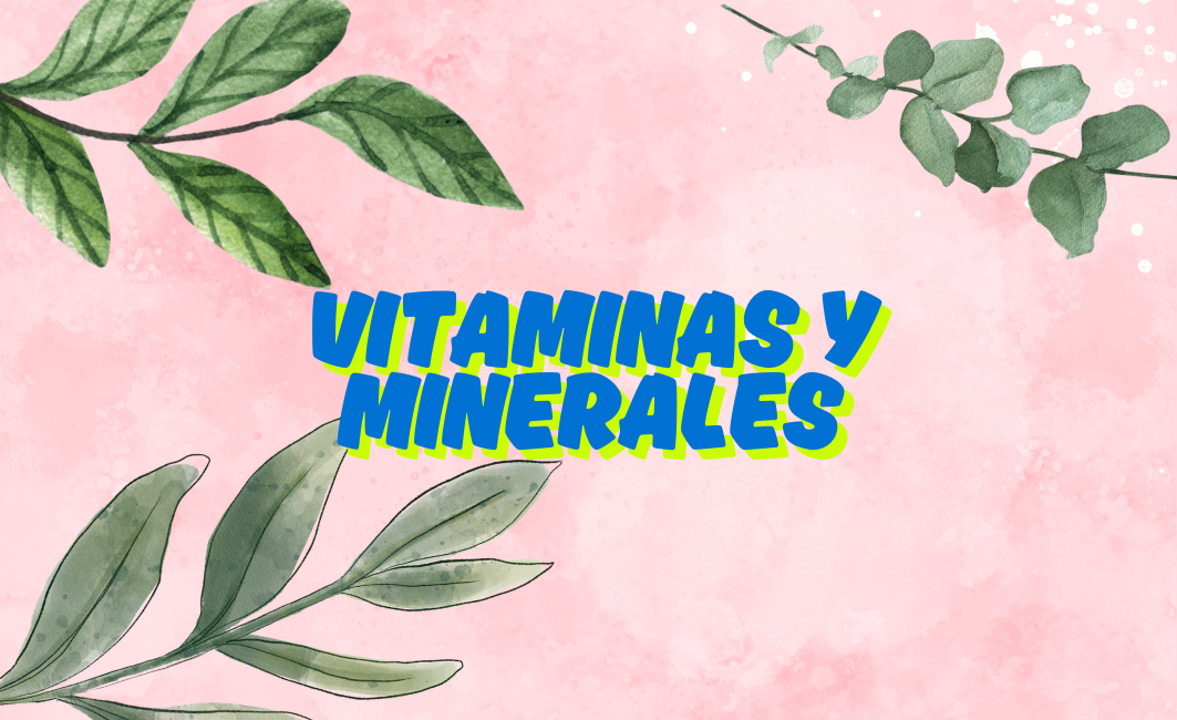 VITAMINAS Y MINERALES