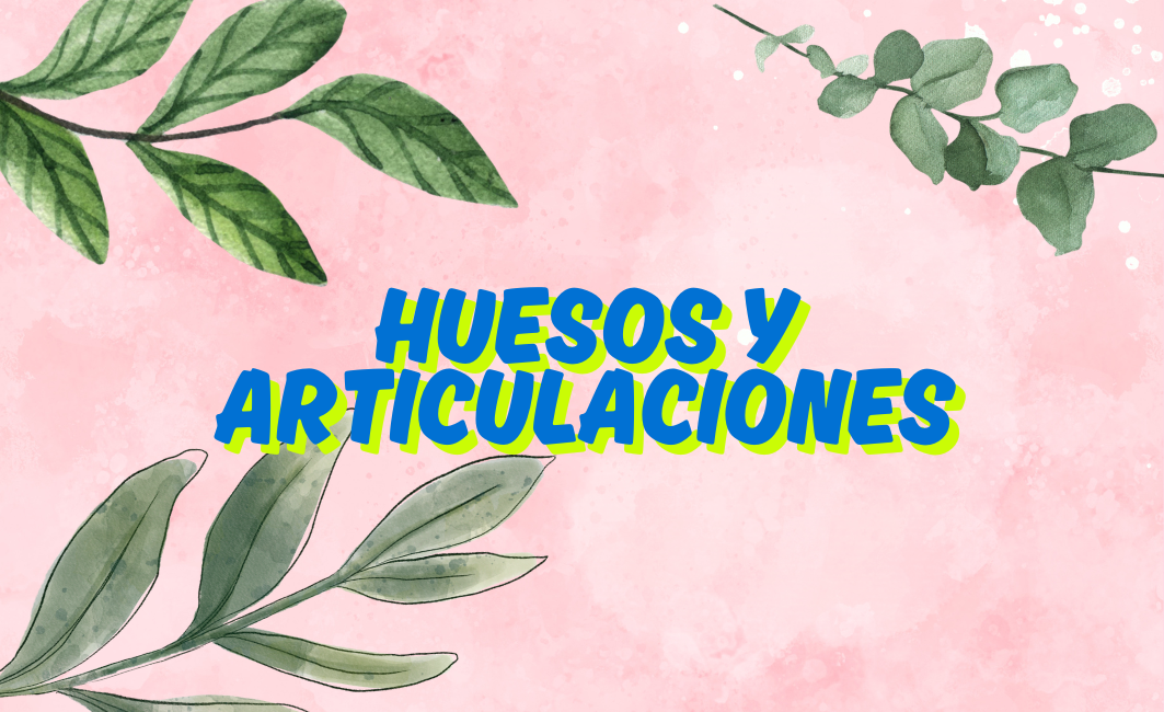 SALUD HUESOS Y ARTICULACIONES