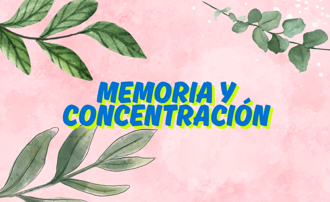 MEMORIA Y CONCENTRACIÓN