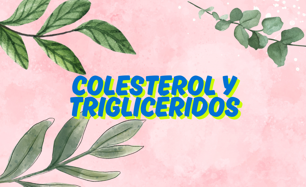 Colesterol y triglicéridos