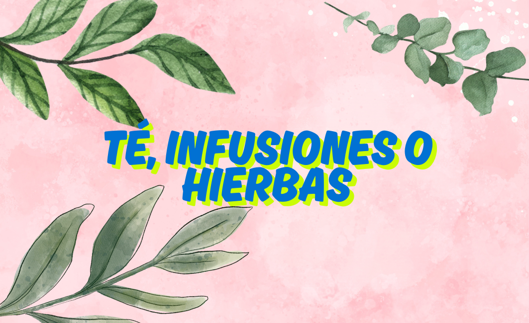 TÉ, INFUSIONES O HIERBAS