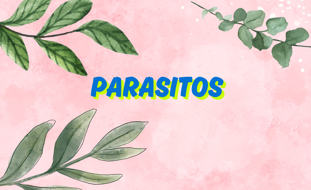Parásitos