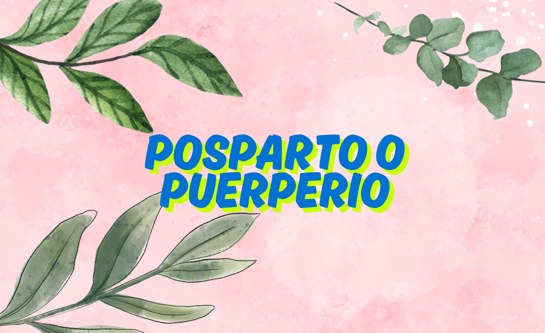 Recuperación post parto