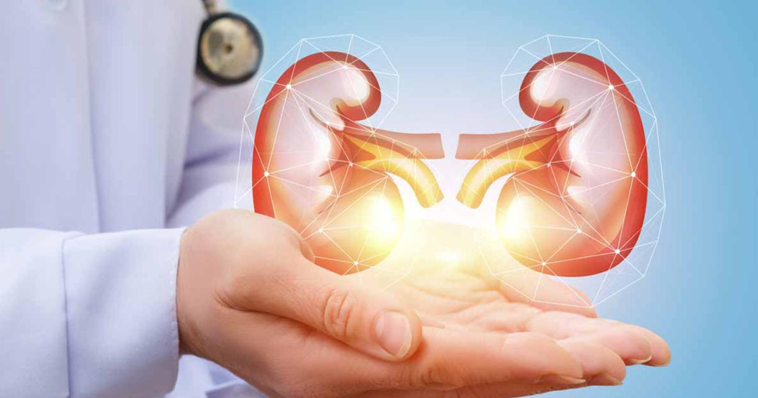 SALUD RENAL