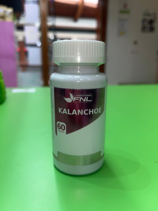 Kalanchoe 60 cap FNL
